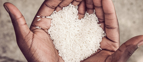 Two hands cupped together holding a cluster of rice grains shaped as a heart
