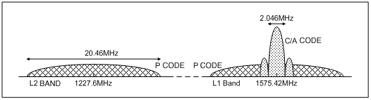 图1. L1和L2波段中P码和C/A码GPS信号。