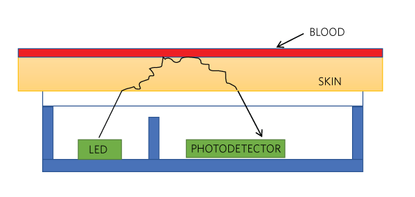Figure 2. PPG signal using an LED and a photodiode.