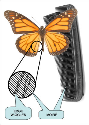 Figure 4. Picture interference resulting from poor video filtering.
