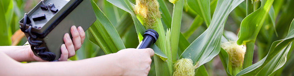 Environmental monitoring