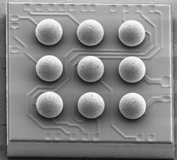 Figure 1. SEM photo of a WLP.