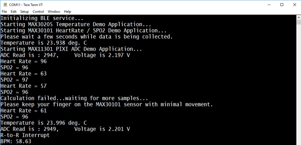 Figure 12. Tera Term sample output.