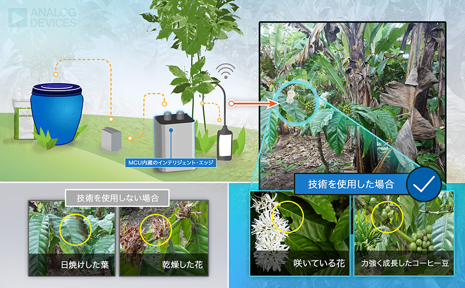 CoffeePP-coffee-growth-with-technology-jp