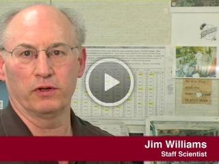video image